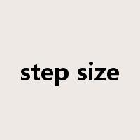 step size是什么意思