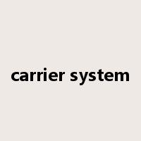 carrier system是什么意思