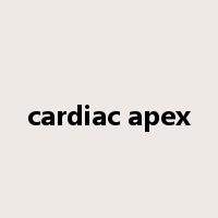 cardiac apex是什么意思