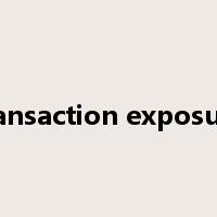 transaction exposure是什么意思
