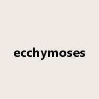 ecchymoses是什么意思