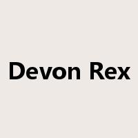 Devon Rex是什么意思
