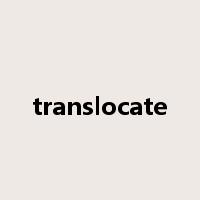 translocate是什么意思