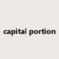 capital portion是什么意思