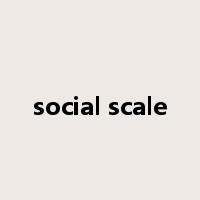 social scale是什么意思