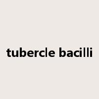tubercle bacilli是什么意思