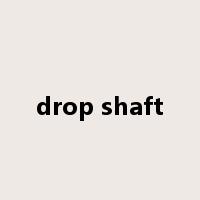 drop shaft是什么意思