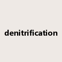denitrification是什么意思