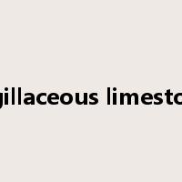 argillaceous limestone是什么意思