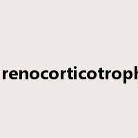 adrenocorticotrophic是什么意思