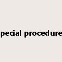 special procedures是什么意思