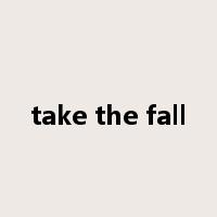 take the fall是什么意思