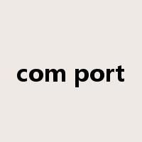 com port是什么意思