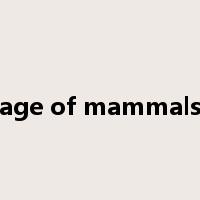 age of mammals是什么意思