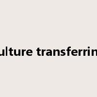 culture transferring是什么意思