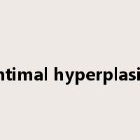 intimal hyperplasia是什么意思