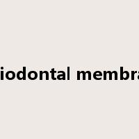 periodontal membrane是什么意思