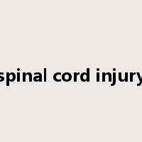 spinal cord injury是什么意思