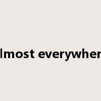 almost everywhere是什么意思