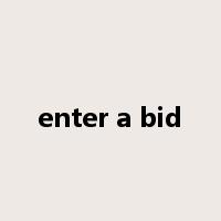 enter a bid是什么意思