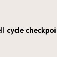 cell cycle checkpoint是什么意思