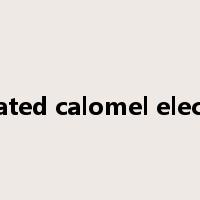 saturated calomel electrode是什么意思