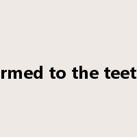 armed to the teeth是什么意思