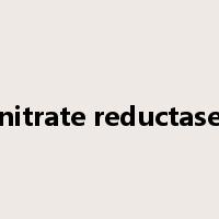 nitrate reductase是什么意思