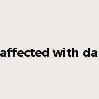 be affected with damp是什么意思