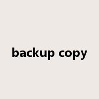 backup copy是什么意思
