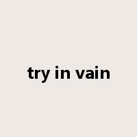 try in vain是什么意思