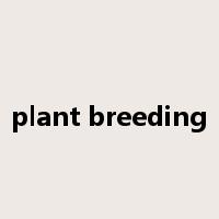 plant breeding是什么意思