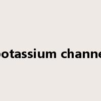 potassium channel是什么意思