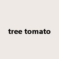 tree tomato是什么意思