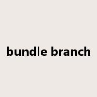 bundle branch是什么意思