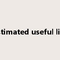 estimated useful life是什么意思