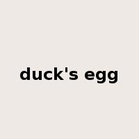 duck's egg是什么意思
