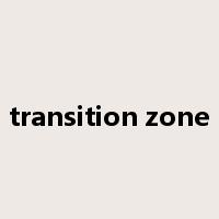transition zone是什么意思