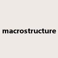 macrostructure是什么意思
