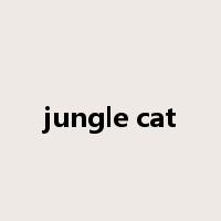 jungle cat是什么意思
