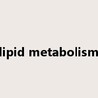 lipid metabolism是什么意思