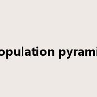 population pyramid是什么意思