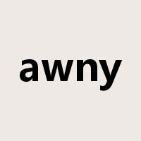 awny是什么意思