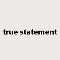 true statement是什么意思