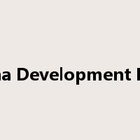 China Development Bank是什么意思