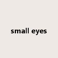 small eyes是什么意思