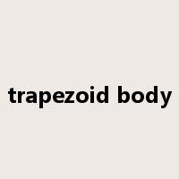 trapezoid body是什么意思
