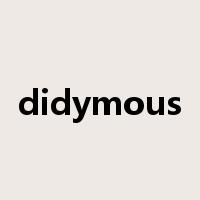 didymous是什么意思