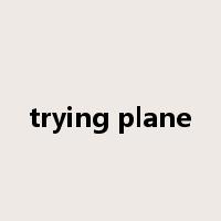 trying plane是什么意思