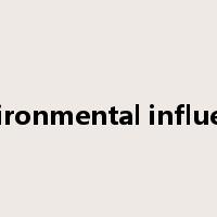 environmental influence是什么意思